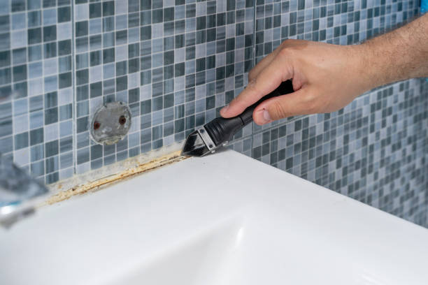 Best Office Mold Removal Services  in Colonial Heights, TN